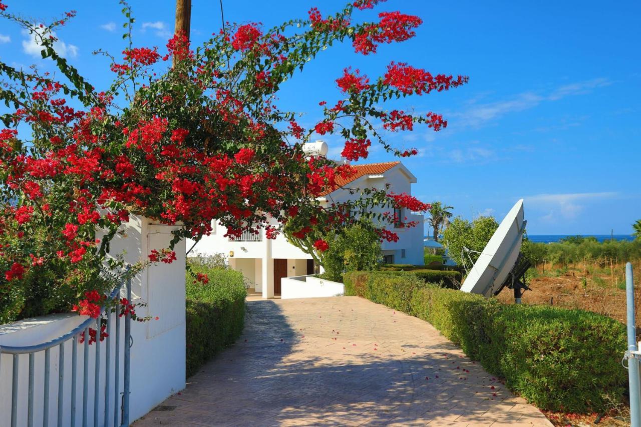 Villa Stavriella Лачи Екстериор снимка